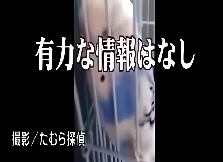 調査結果は完全な迷宮入り