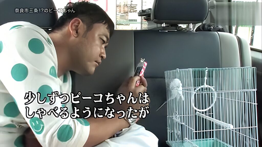 たむらけんじ氏が撮影したもの