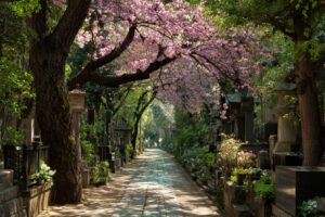 春の青山霊園の桜並木道。平和で美しい雰囲気の都内有数の散歩スポット