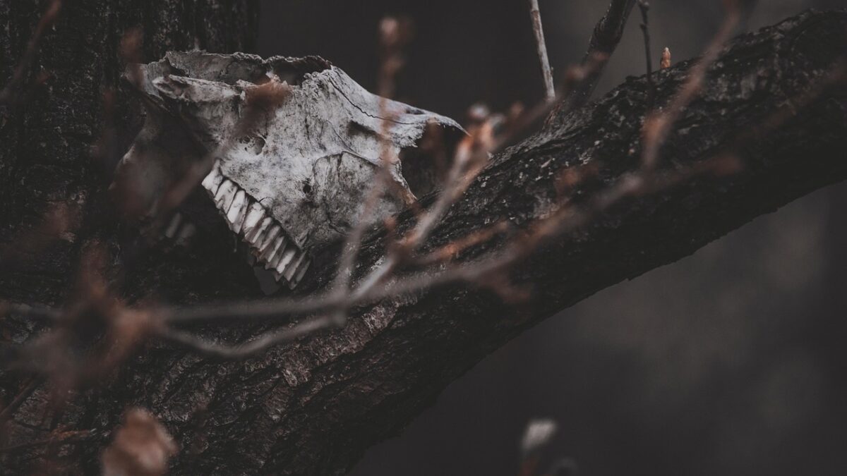 eyecatch 1676 1773055756