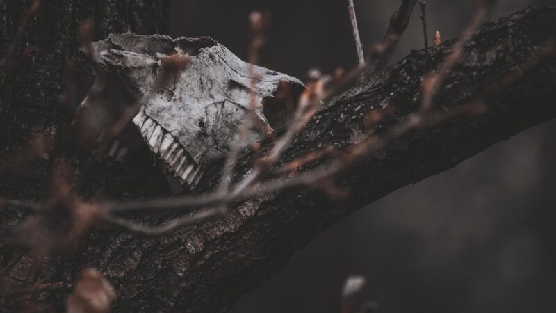 eyecatch 1676 1773055756