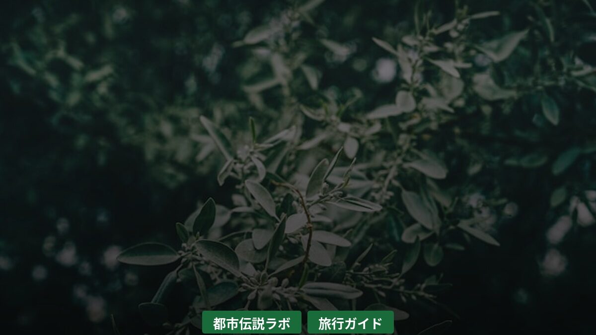 toshi 55495926