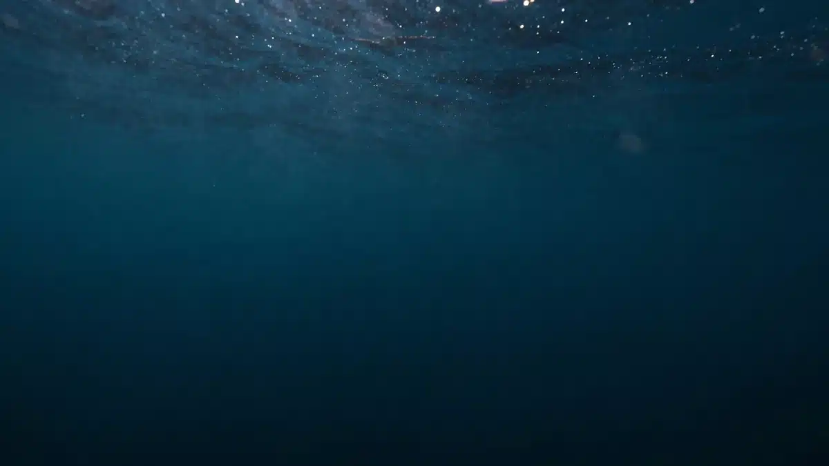 深海の闇に沈む得体の知れない暗がりの映像