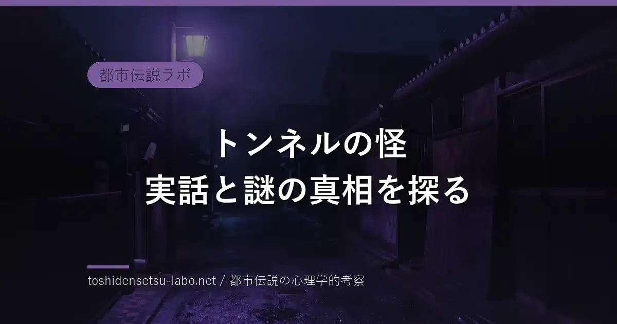 トンネルの怪 実話と謎の真相を探るのイメージ