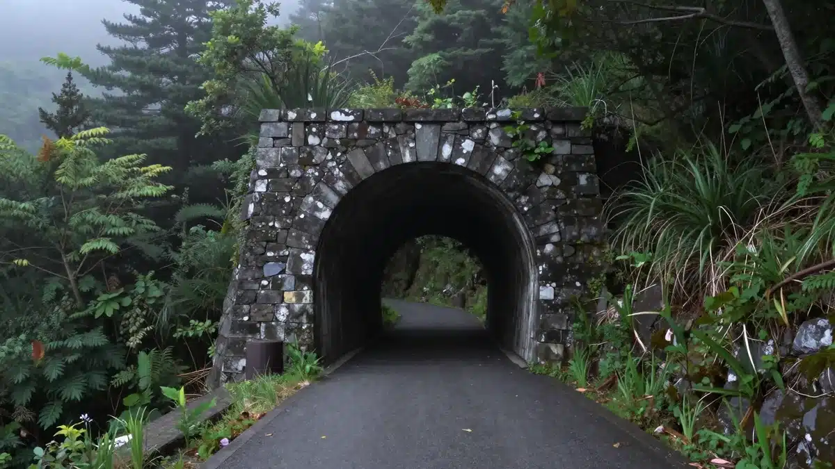 霧のかかる飛騨の山あいと曲がりくねった山道を思わせる情景