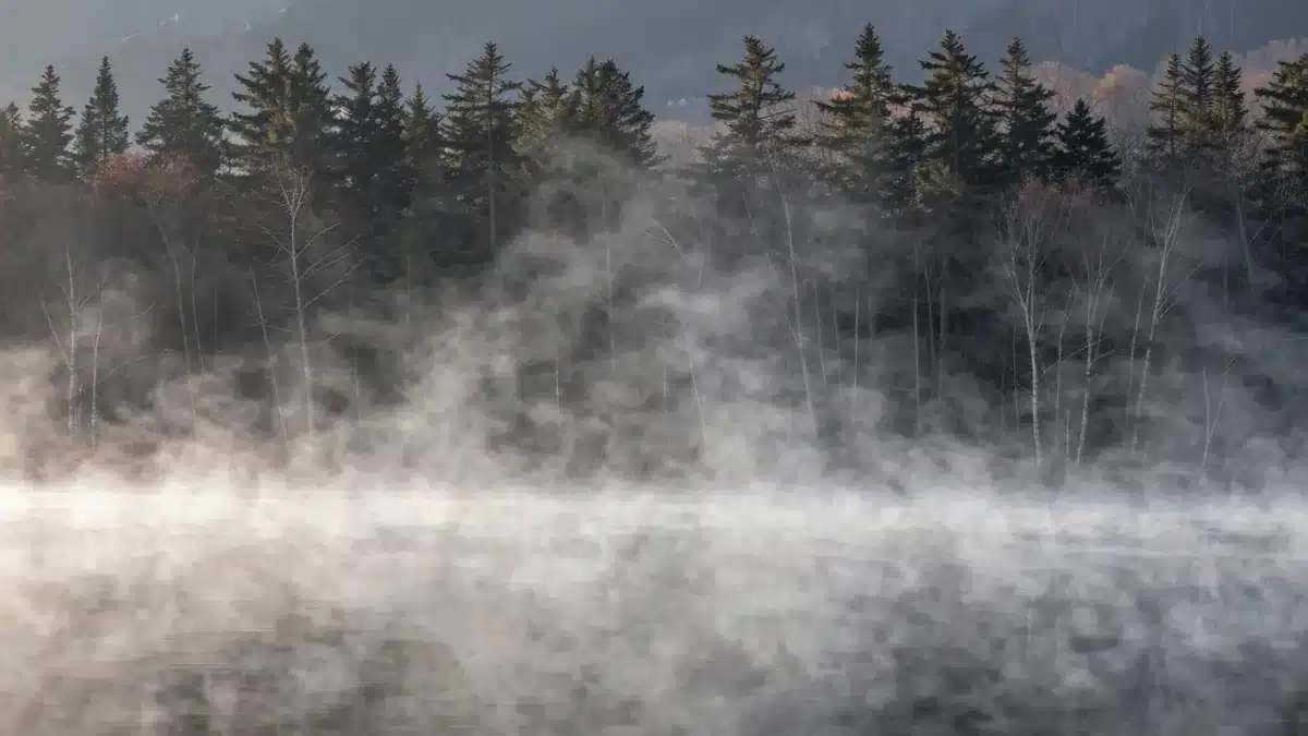 雪と霧に包まれた北海道の湖と針葉樹林の情景