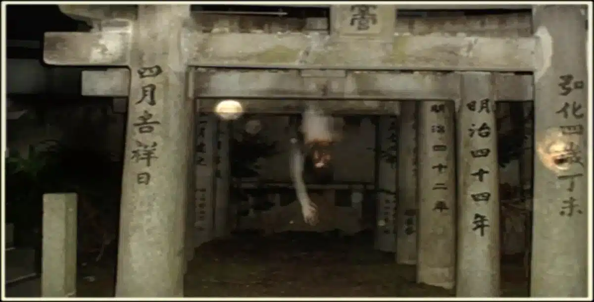 石造りの鳥居が連なる夜の神社を写した作中の写真。鳥居の奥に人影が逆さまの姿で半透明に浮かんでいる