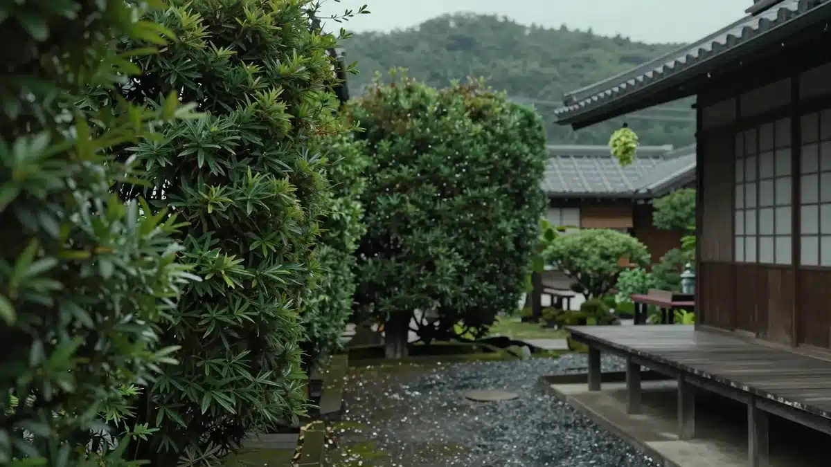 生垣と広縁のある田舎の民家の庭のイメージ